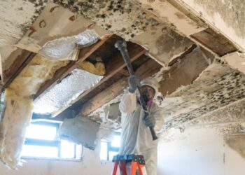 Crete Restoration Licensed Mold Removal Contractors Wilton, CT