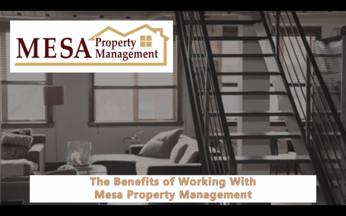 The Benefits of Working with Mesa Property Management